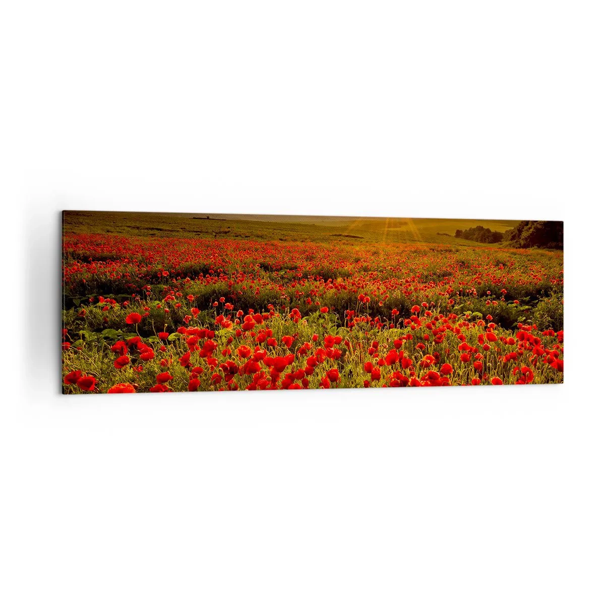Canvastavla - Bild på duk - Bland brusande ängars vågor, bland blommornas flod - 160x50 cm