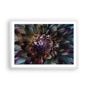 Affisch i vit ram - Blommande ungdom - 70x50 cm