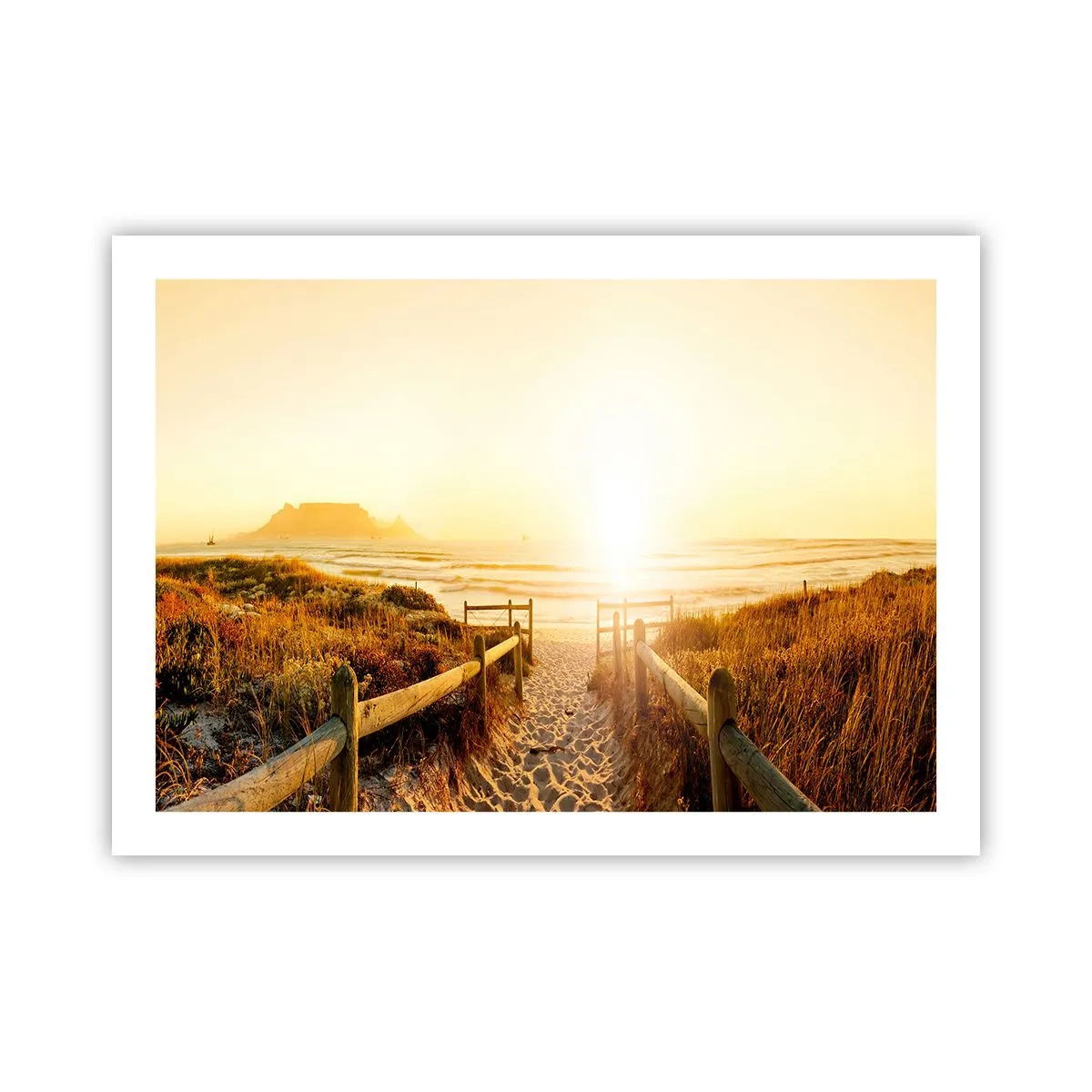 Affisch - Genom sanddynan mot solen - 70x50 cm