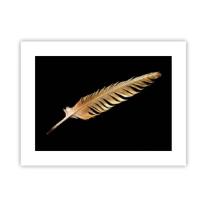 Affisch - Fjäder... - 40x30 cm