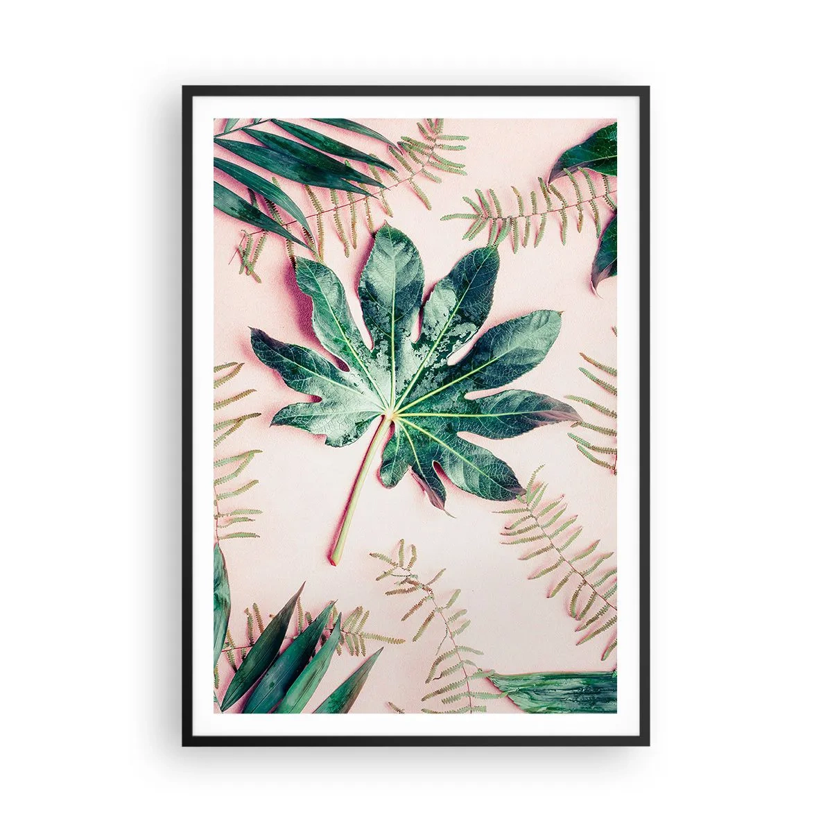 Affisch i svart ram - Grönskans studie mot rosa bakgrund - 70x100 cm