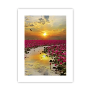 Affisch - Sjöns hemlighetsfulla liv - 30x40 cm