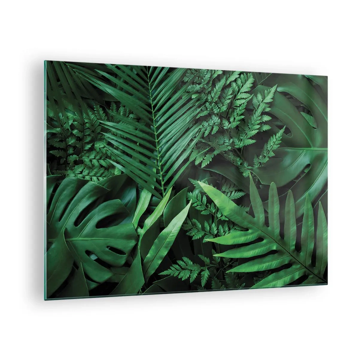 Glastavla - Bild på glas - Täta gröna blad av tropiska växter i kompositionen - 70x50cm - Omgärdade av grönskan - Modern väggdekoration för vardagsrum och sovrum ARTTOR