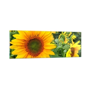 Glastavla - Bild på glas - Hundratals brinnande solar - 90x30 cm