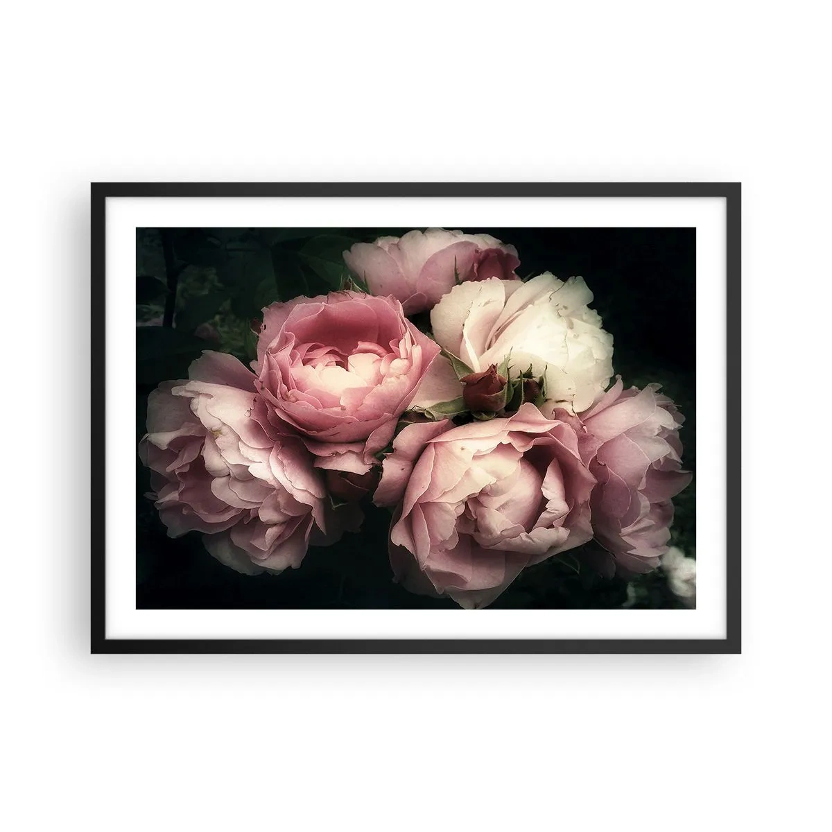 Affisch i svart ram - Belle epoque charm - 70x50 cm