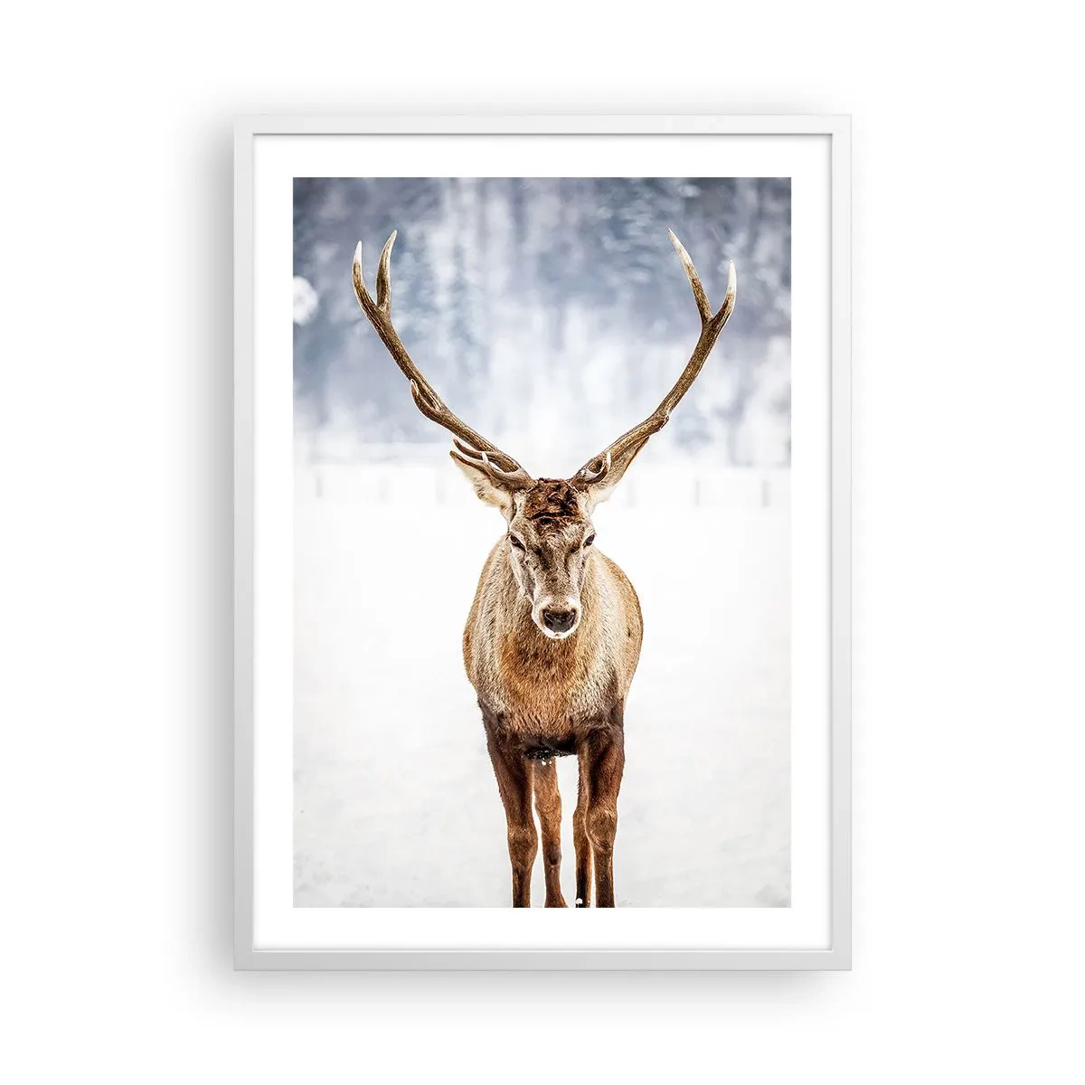 Affisch i vit ram - Rakt från snödimman - 50x70 cm