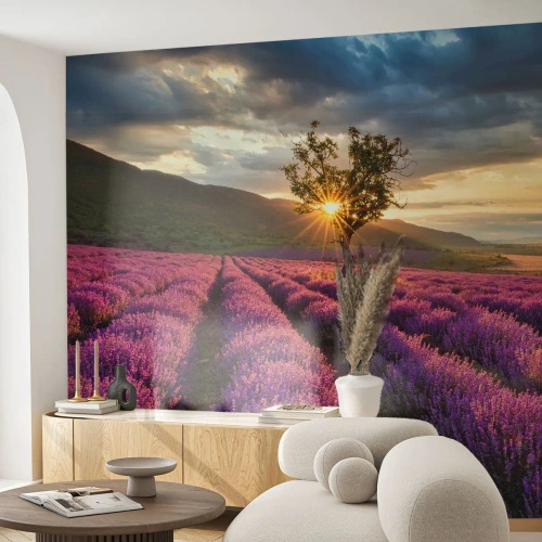 Fototapet på mått Premium Sand - Arom i lila färg - Landskap, Lavendel, Provence