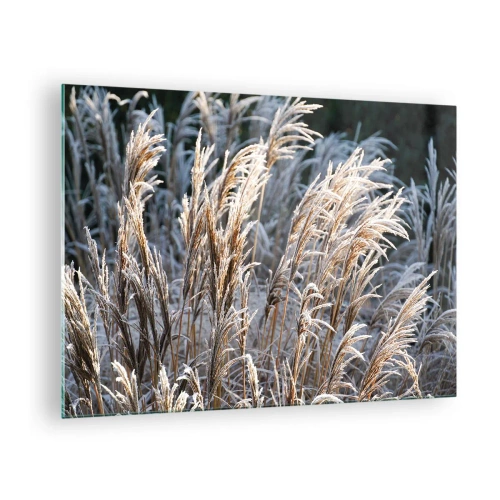 Glastavla - Bild på glas - Frusna gräs i vintersolen - 70x50cm - Frostprydda - Modern väggdekoration för vardagsrum och sovrum ARTTOR
