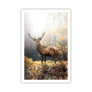 Affisch - I fullt majestät - 61x91 cm