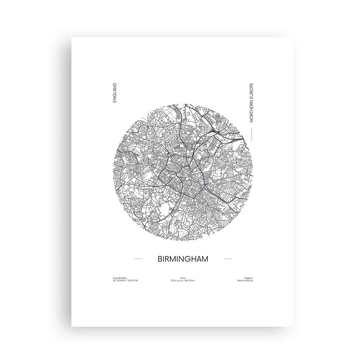 Affisch - Birminghams anatomi - 30x40 cm