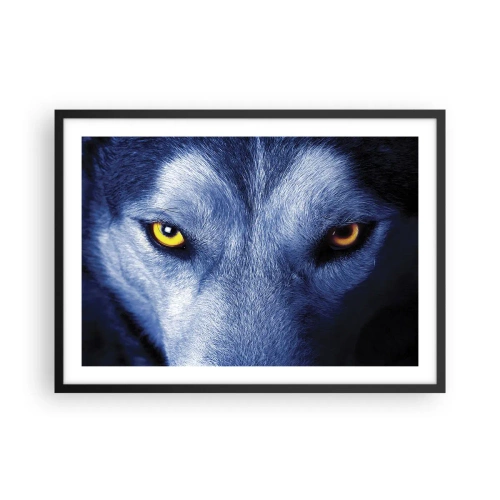 Affisch i svart ram - Hypnotiserade titt - 70x50 cm