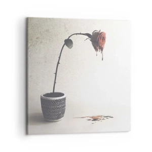 Canvastavla - Bild på duk - Rosa dolorosa - 60x60 cm