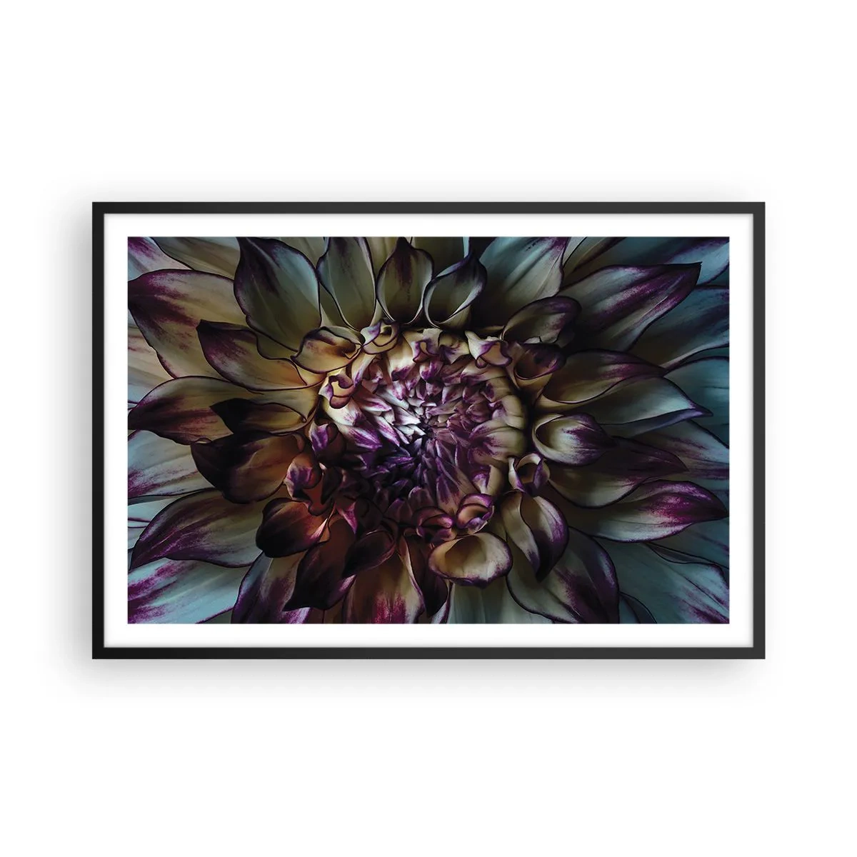 Affisch i svart ram - Blommande ungdom - 91x61 cm