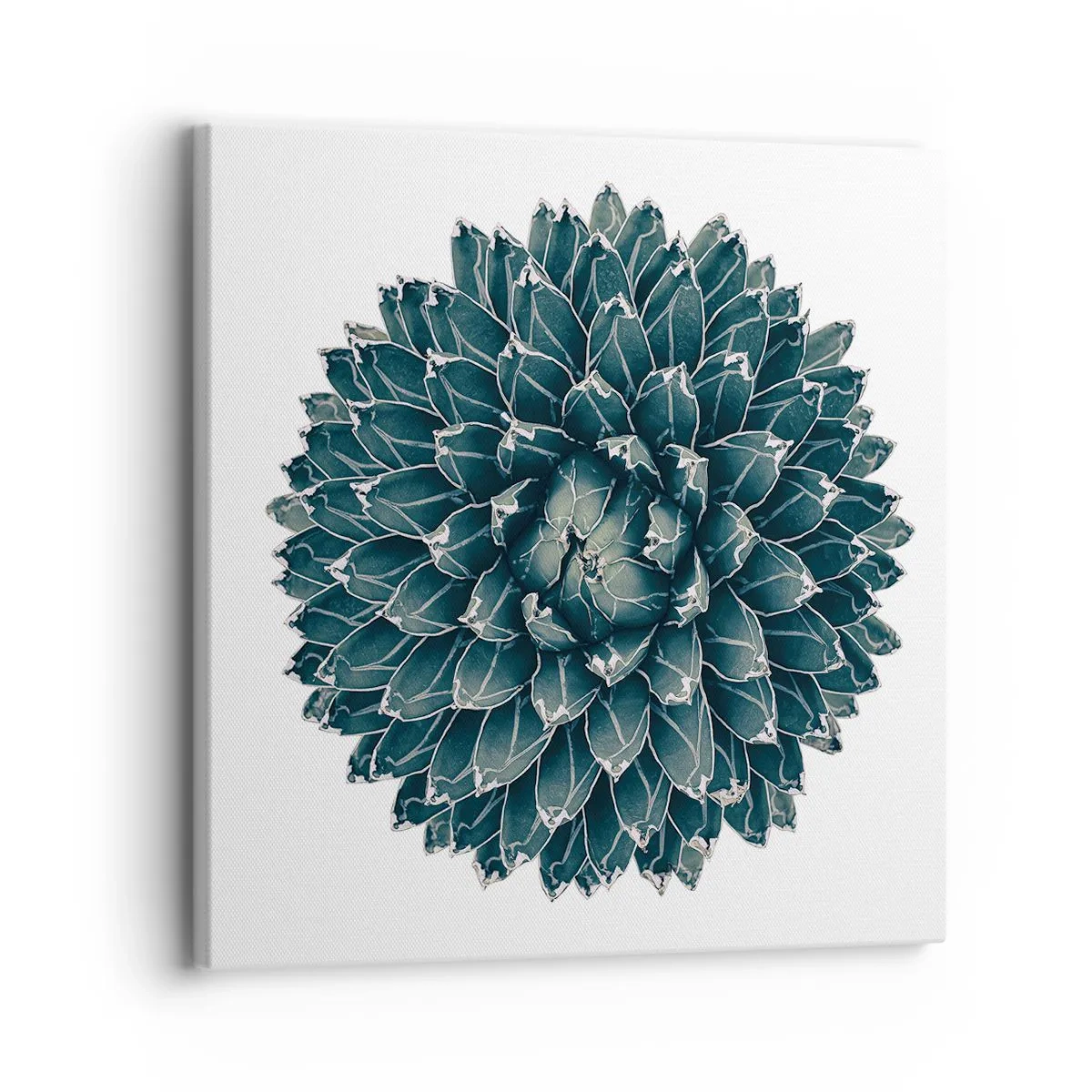 Canvastavla - Bild på duk - Öknens stjärna - 30x30 cm