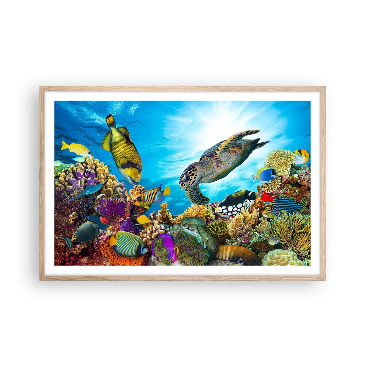 Affisch i ram av ljusek - Korallpromenad - 91x61 cm