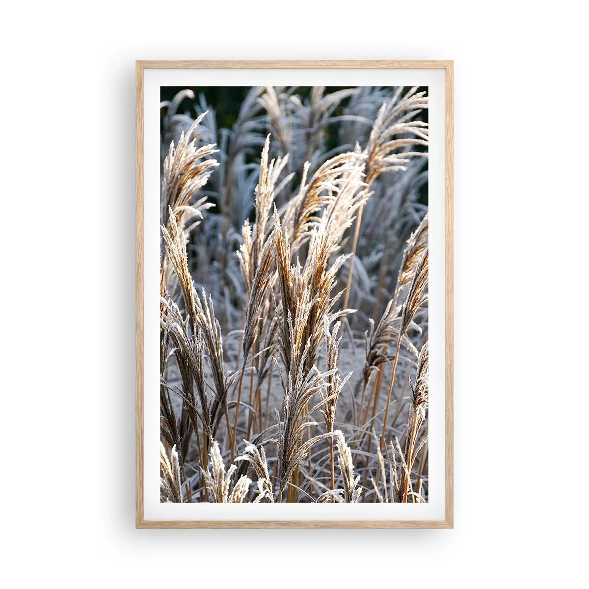 Affisch i ram av ljusek - Frostprydda - 61x91 cm