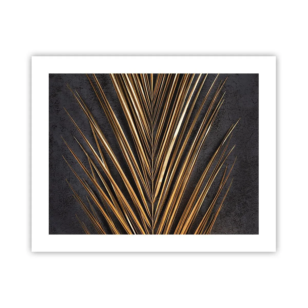 Affisch - Tropikens guld - 50x40 cm