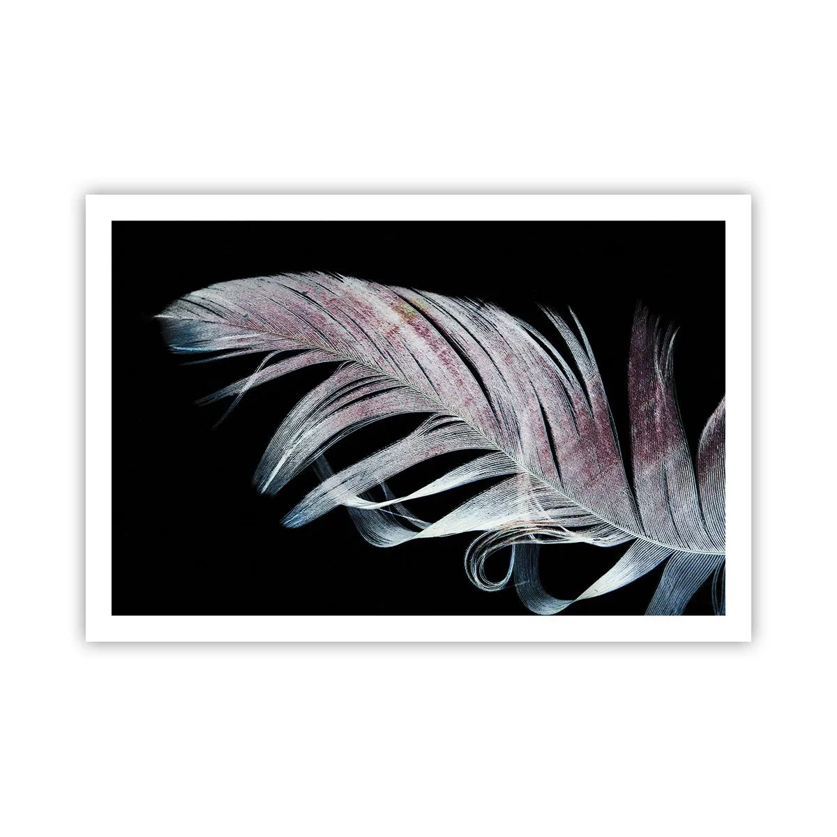 Affisch - Tänk på smekning - 91x61 cm