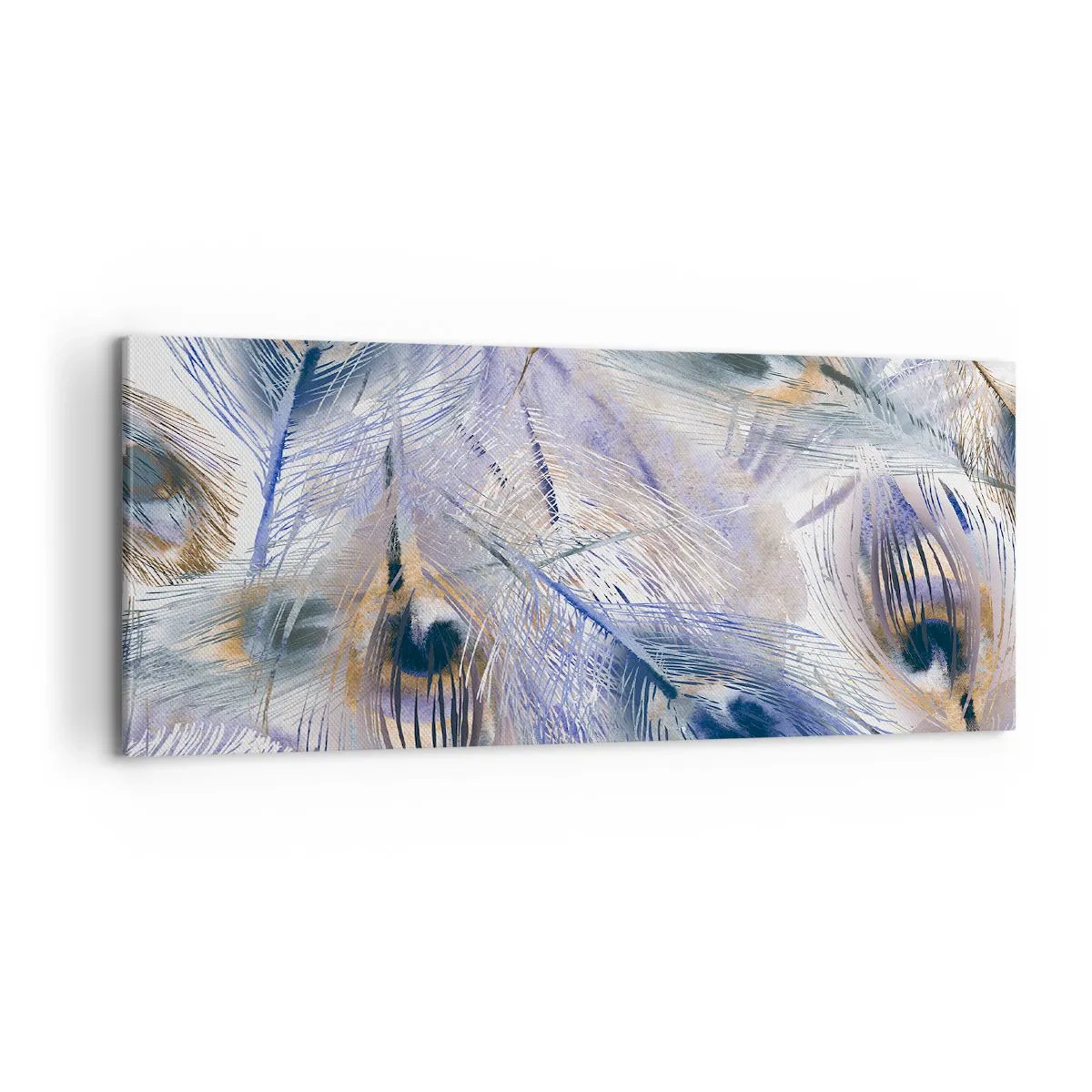 Canvastavla - Bild på duk - Komposition med påfågelsfjädrar - 100x40 cm