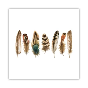Affisch - Fjädervariation - 40x40 cm