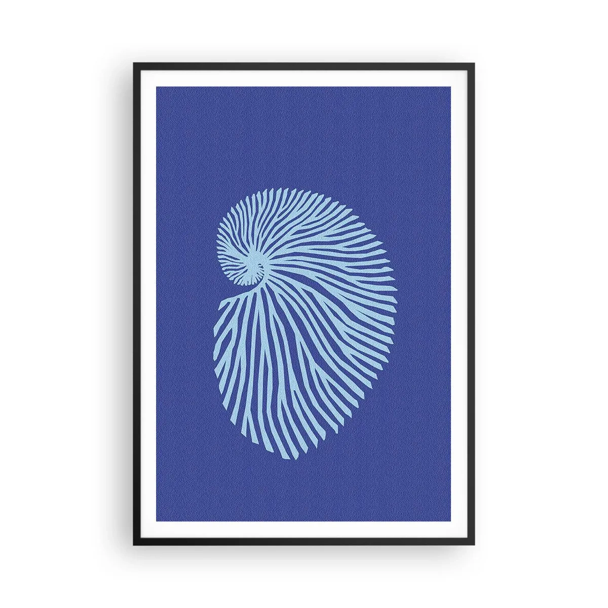 Affisch i svart ram - Födelse av ett skal - 70x100 cm