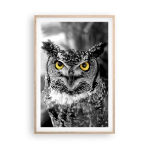 Affisch i ram av ljusek - Inget kommer undan - 61x91 cm