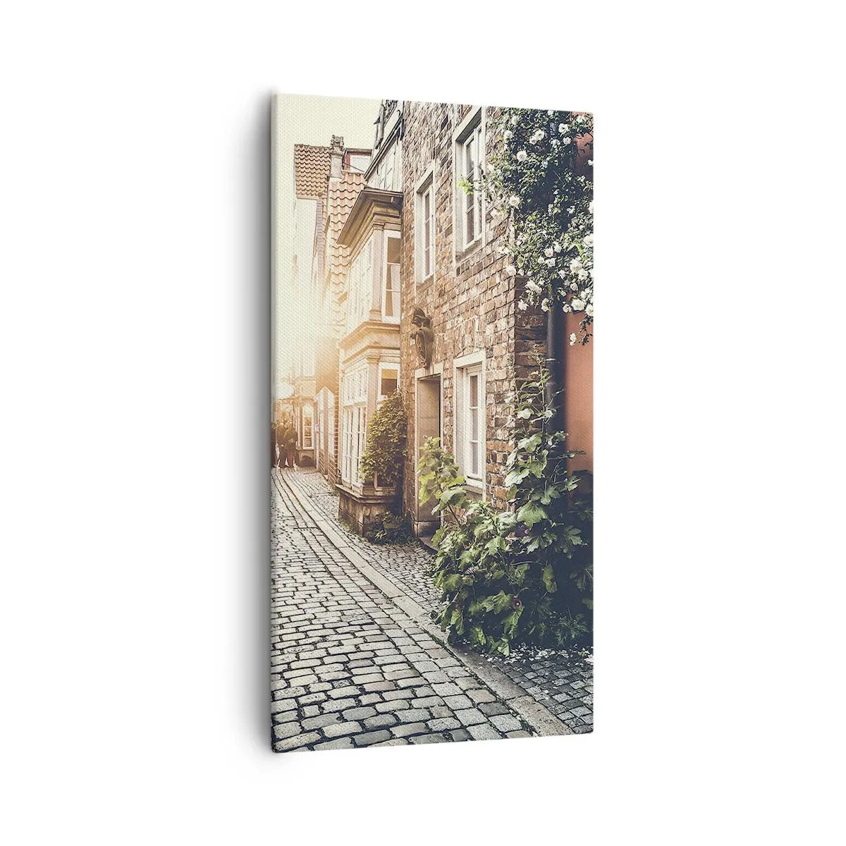 Canvastavla - Bild på duk - Rosgränd i rosa sken - 55x100 cm