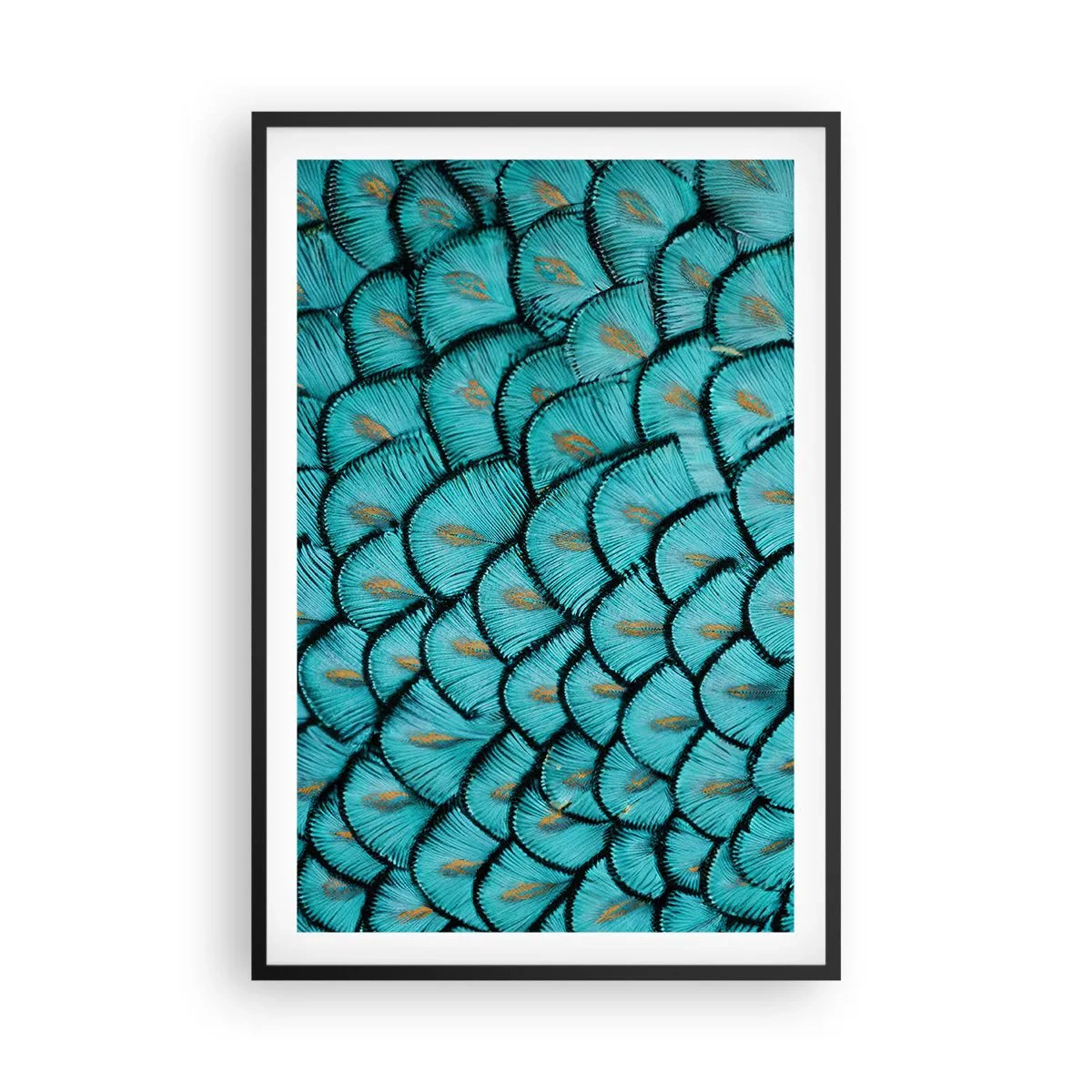 Affisch i svart ram - Den stora fjädergalan - 61x91 cm