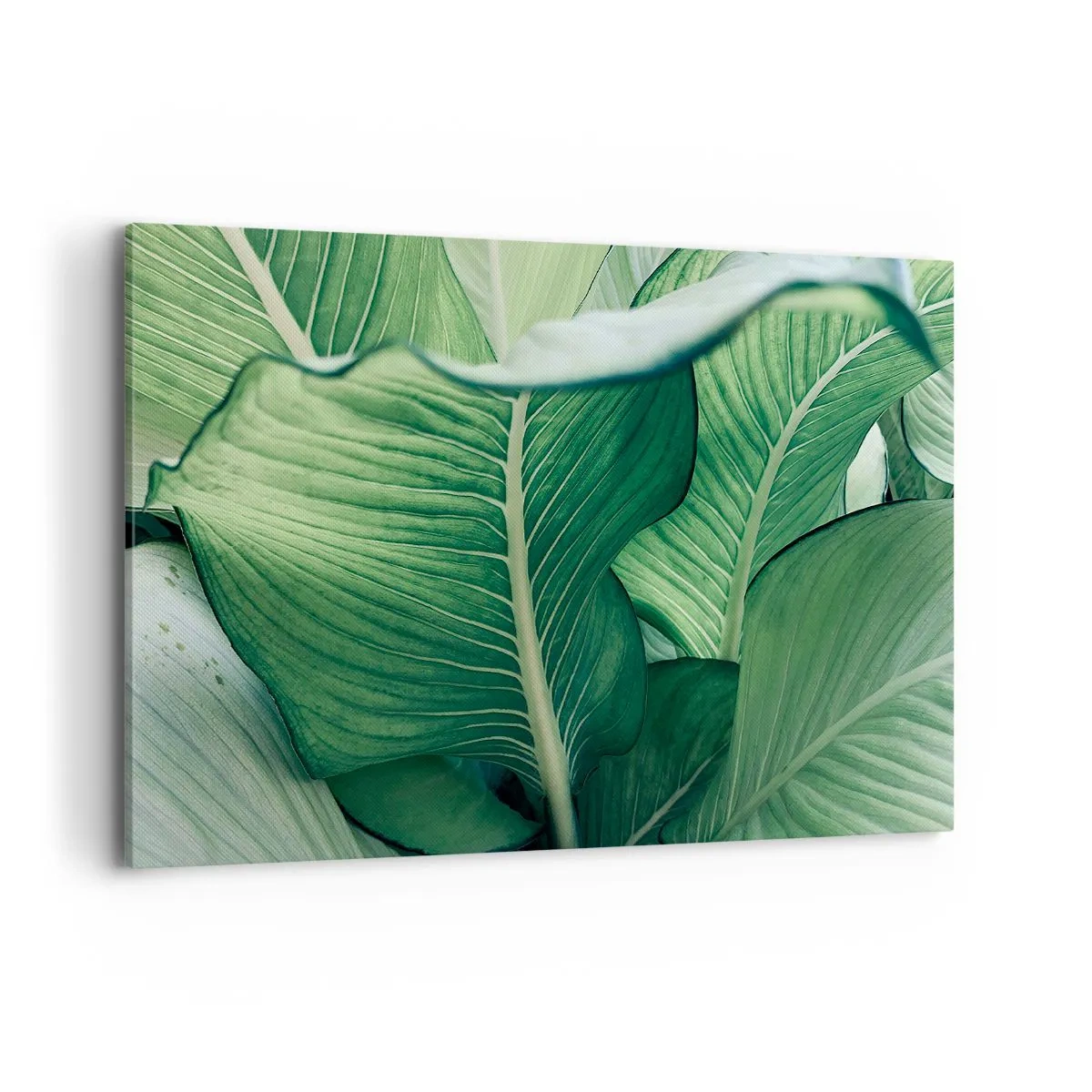 Canvastavla - Bild på duk - Livet intensivt grönt - 120x80 cm