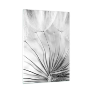 Glastavla - Bild på glas - Blåsande, flygande drakar - 50x70 cm