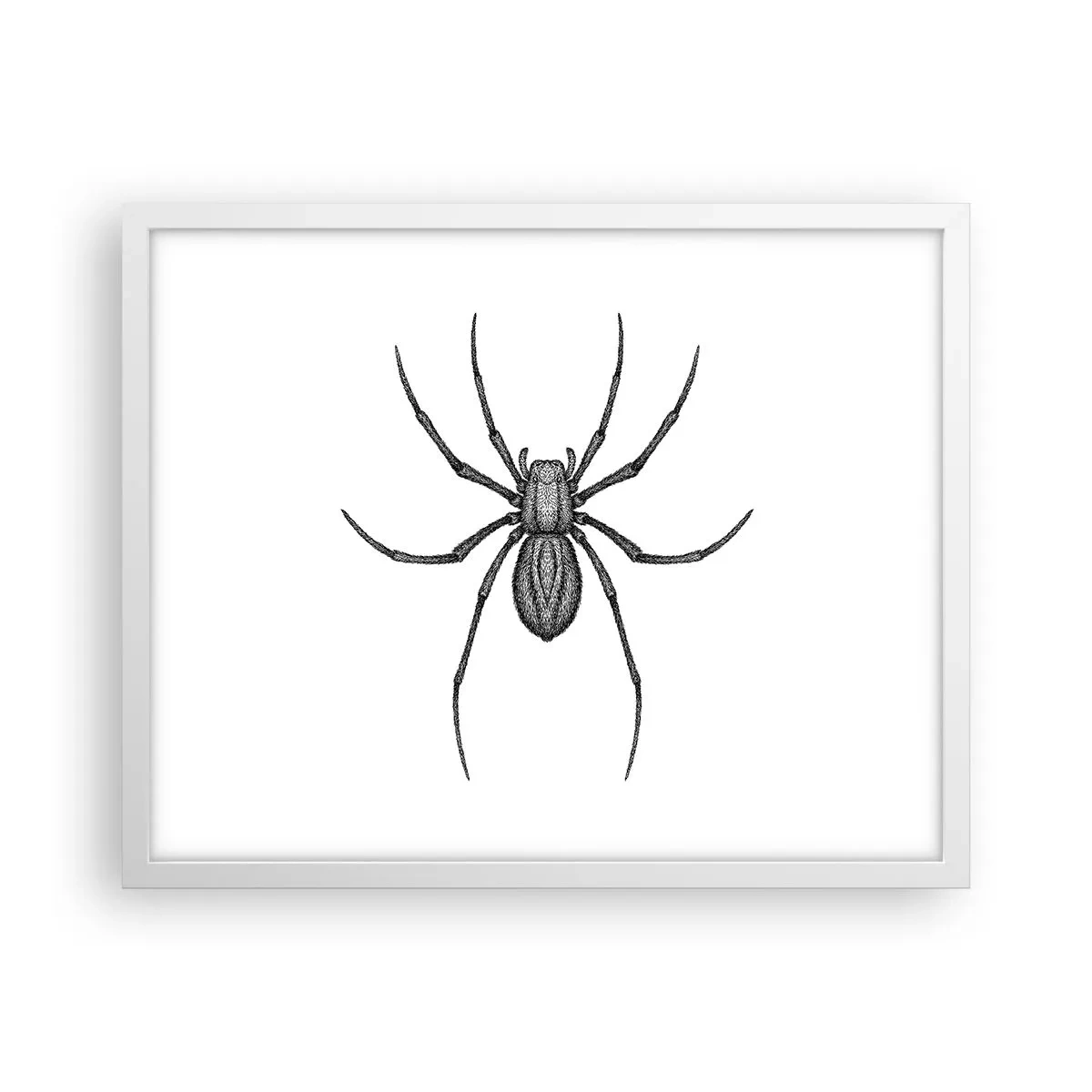 Affisch i vit ram - Oroväckande precision - 50x40 cm