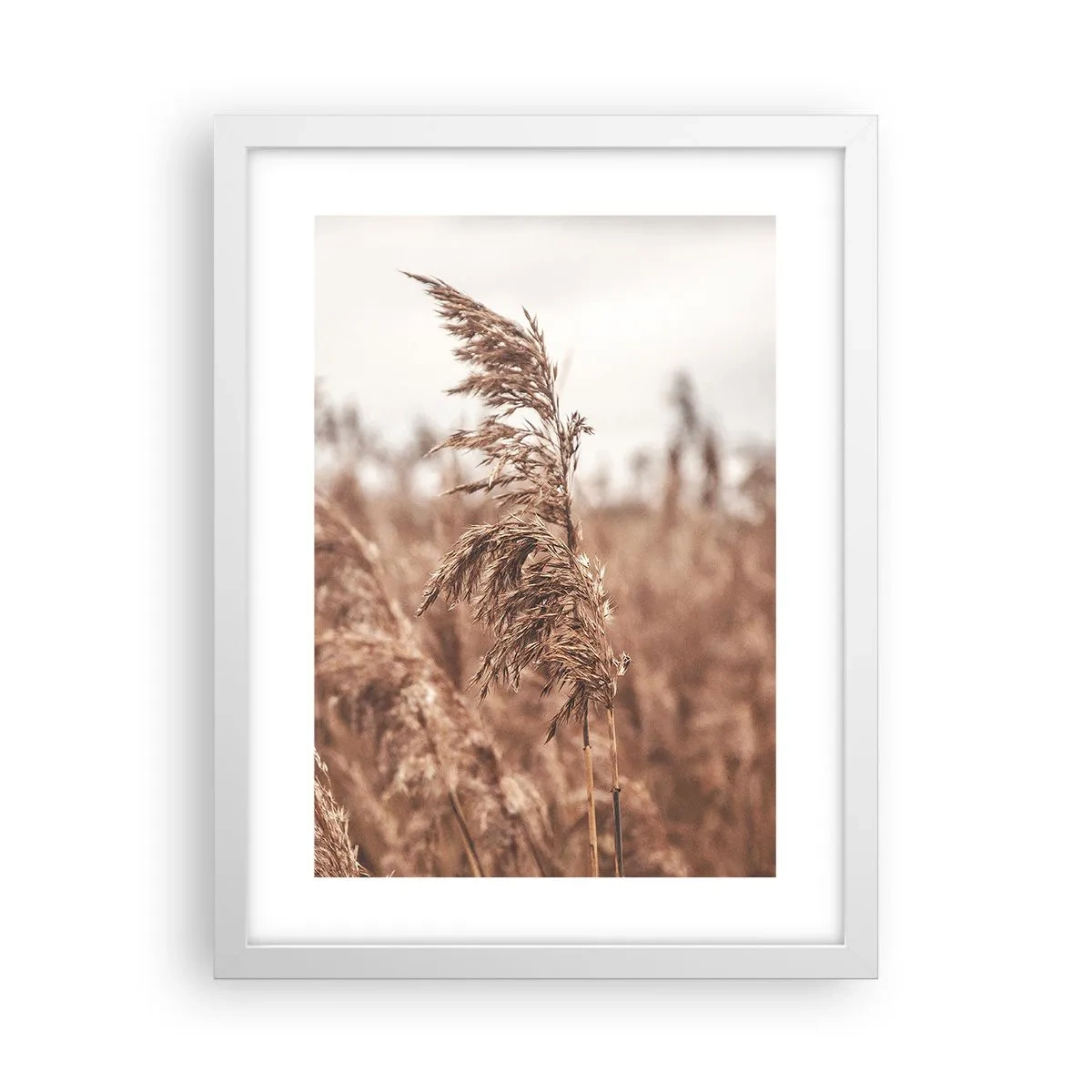 Affisch i vit ram - Hösten är framme på åkrarna - 30x40 cm