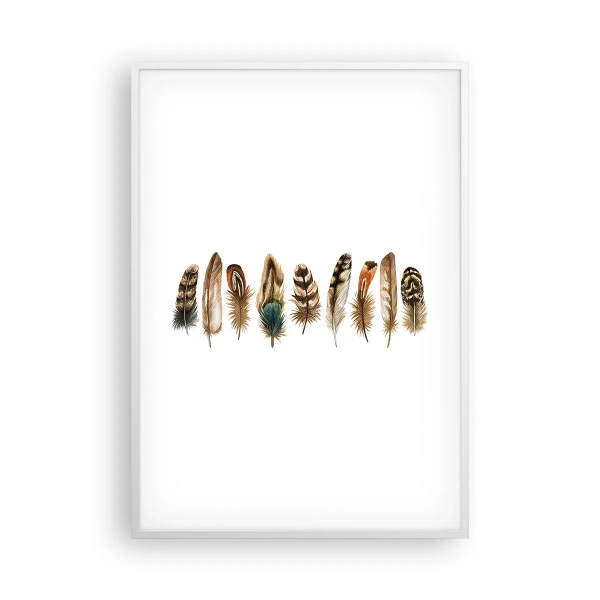 Affisch i vit ram - Fjädervariation - 70x100 cm