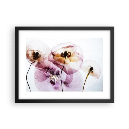 Affisch i svart ram - Blommornas transparenta kroppar - 40x30 cm