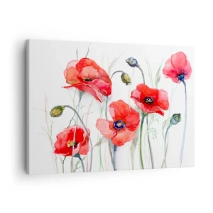 Canvastavla - Bild på duk - Akvarell vallmo på en delikat bakgrund - 70x50cm - Polska blommor - Modern väggdekoration för vardagsrum och sovrum ARTTOR