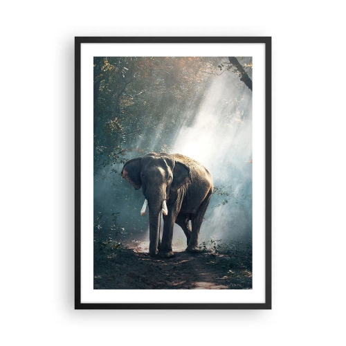 Affisch i svart ram - En elefant som solar sig i en tät skog - 50x70cm - Lugn promenad - Modern väggdekoration för vardagsrum och sovrum ARTTOR
