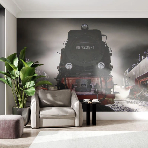 Fototapet Premium Canvas - Står och stjäler, andas och blåser - Ång lok, Tågstation, Bil - 400x280 cm