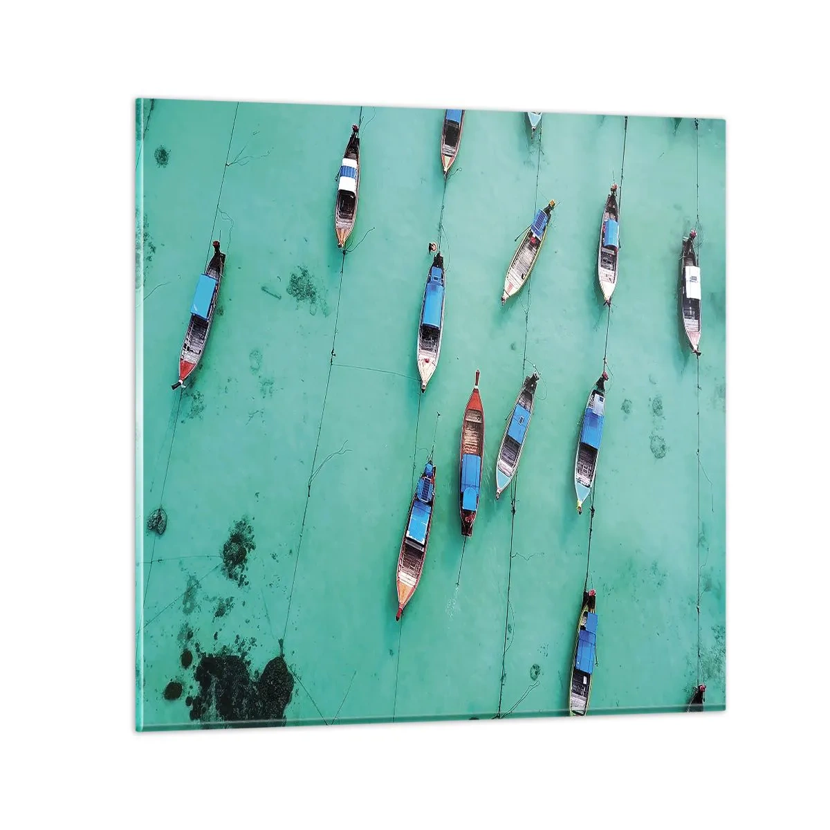 Glastavla - Bild på glas - Under en glad väntan - 60x60 cm