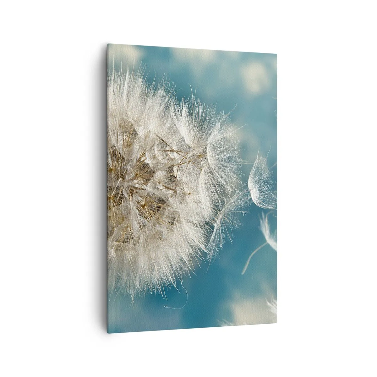 Canvastavla - Bild på duk - Ängelns andetag - 80x120 cm