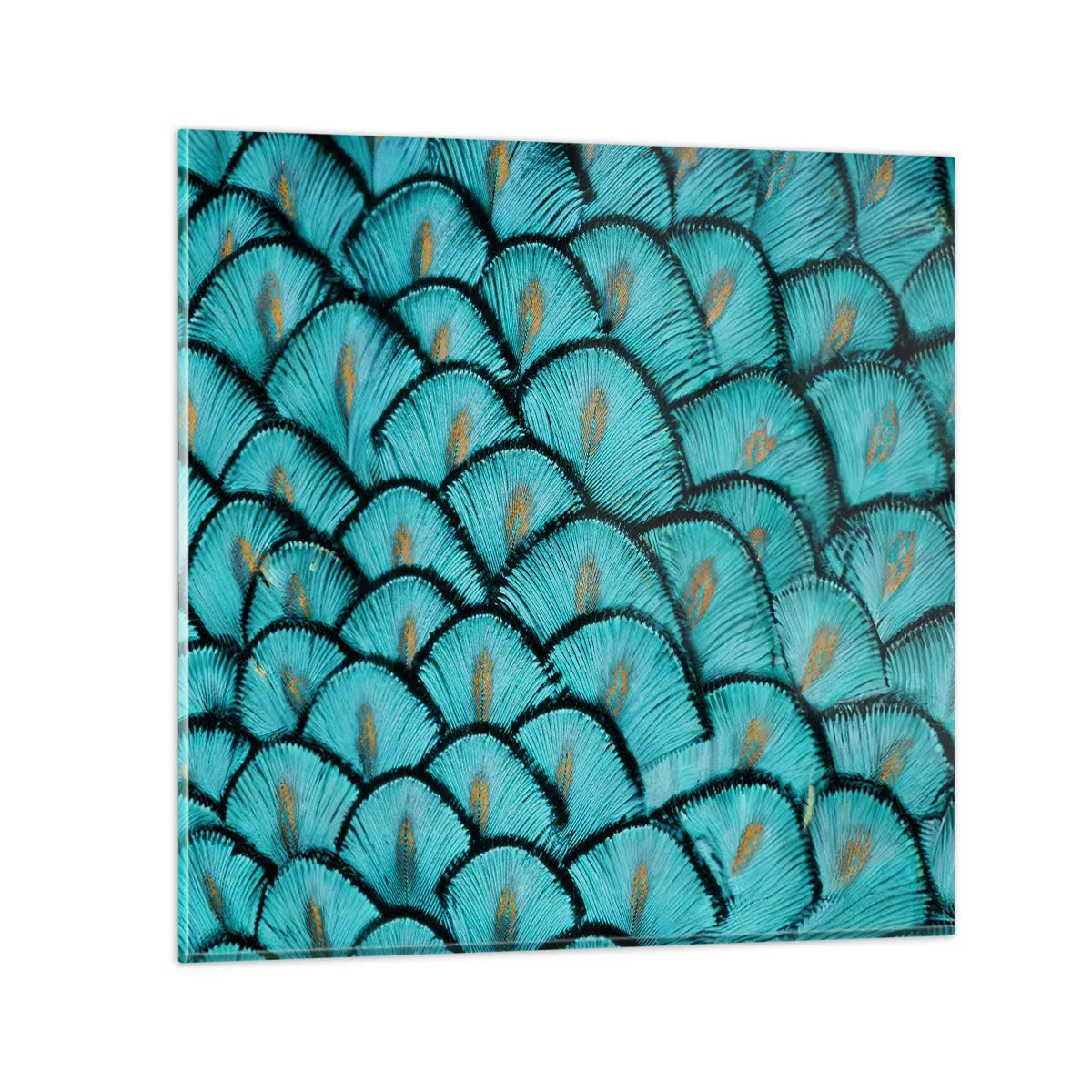 Glastavla - Bild på glas - Den stora fjädergalan - 30x30 cm