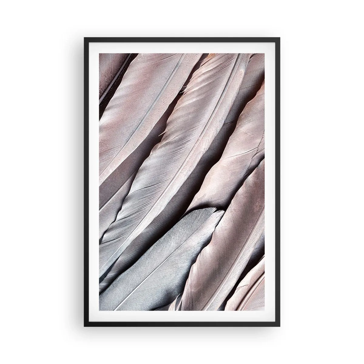 Affisch i svart ram - I rosa silver - 61x91 cm