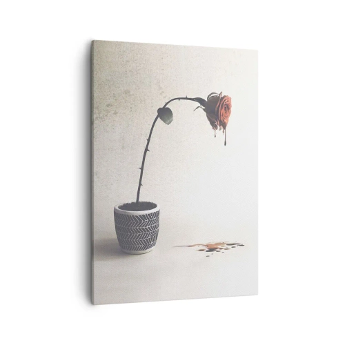 Canvastavla - Bild på duk - Rosa dolorosa - 50x70 cm