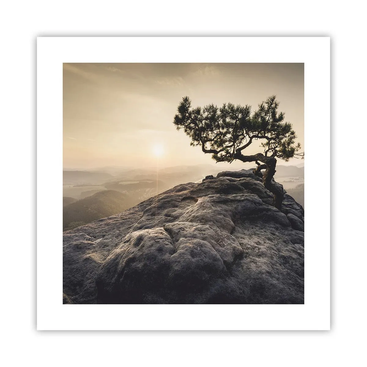 Affisch - Livet vinner alltid - 40x40 cm