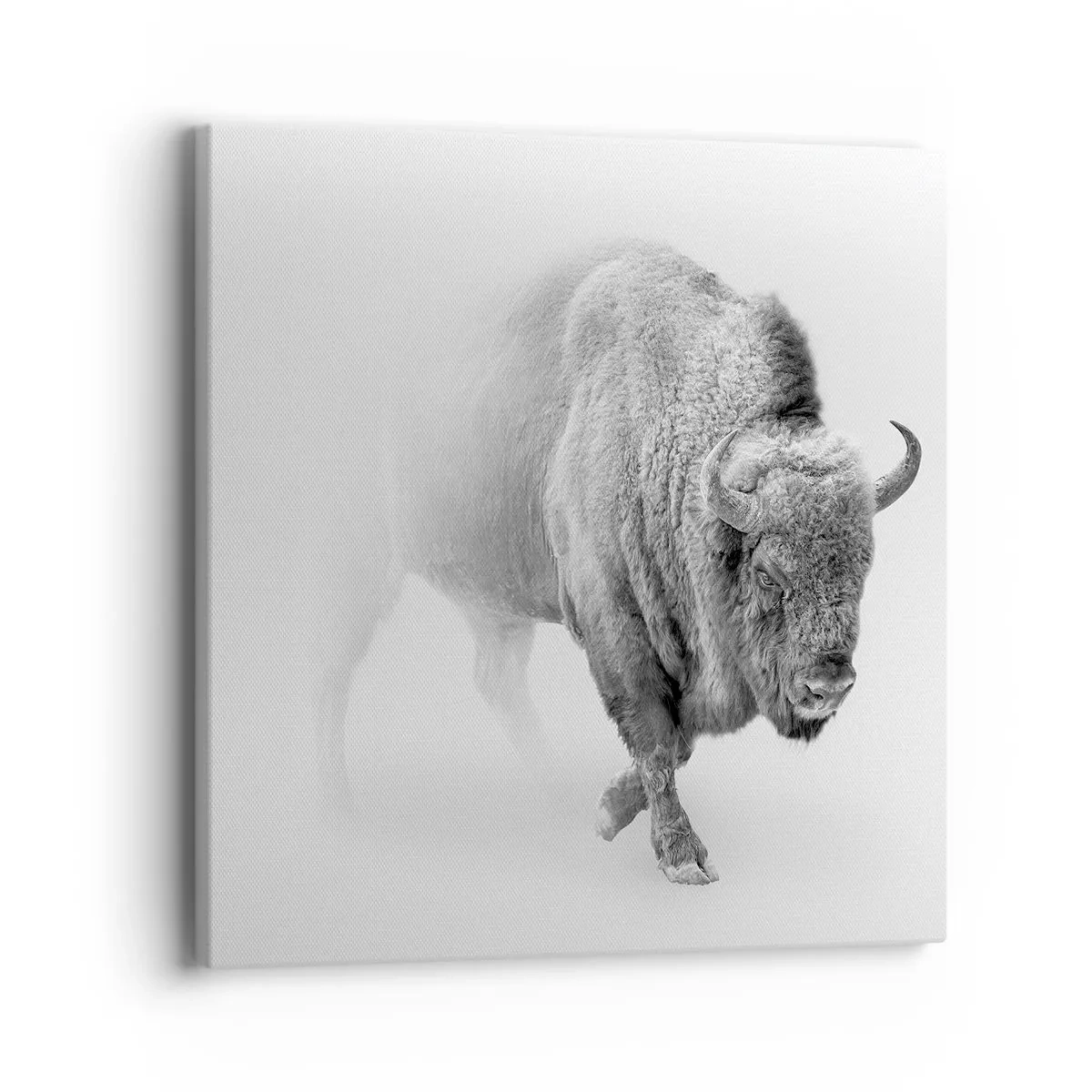 Canvastavla - Bild på duk - Präriens kung - 40x40 cm