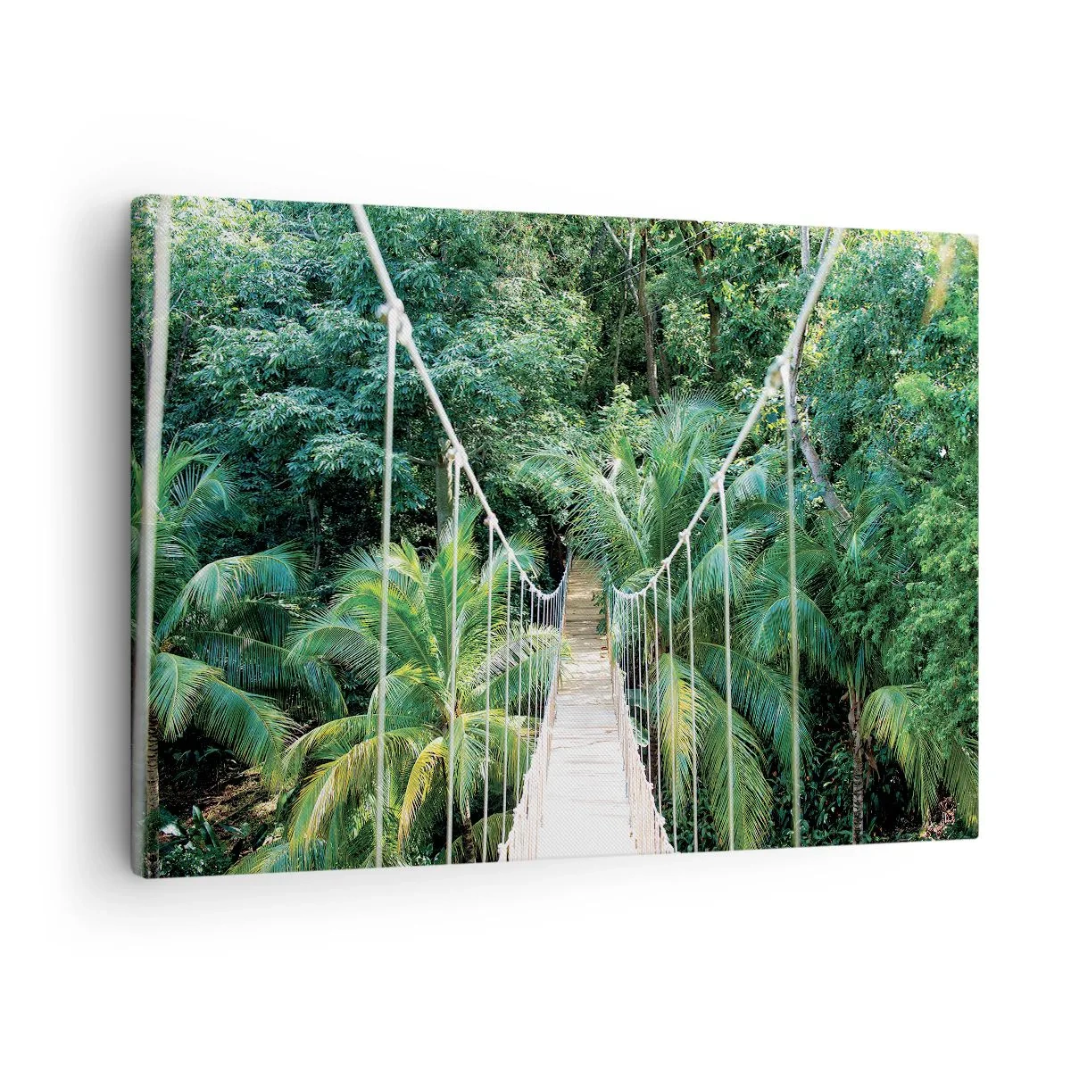 Canvastavla - Bild på duk - En hängbro i en tropisk djungel full av grönska - 70x50cm - Welcome to the jungle! - Modern väggdekoration för vardagsrum och sovrum ARTTOR