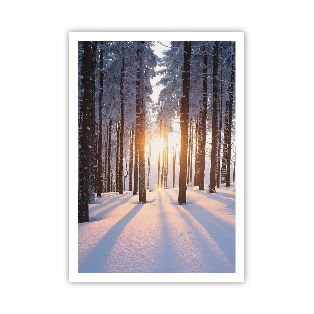 Affisch - Tydligt svart på vitt - 70x100 cm