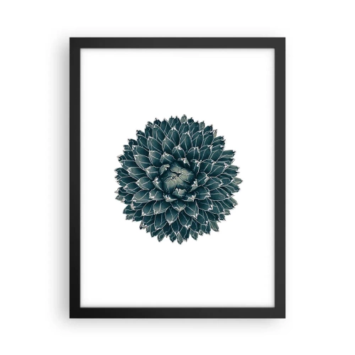 Affisch i svart ram - Öknens stjärna - 30x40 cm
