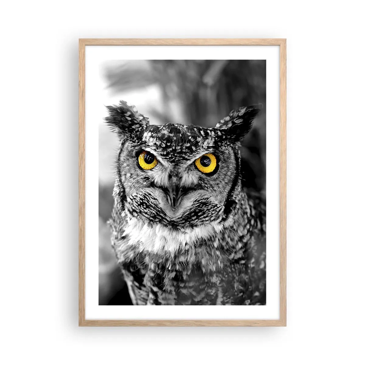 Affisch i ram av ljusek - Inget kommer undan - 50x70 cm