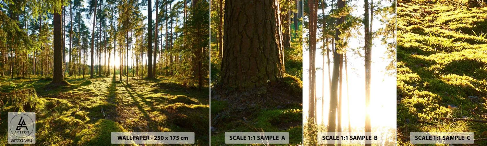 Provbit av självhäftande fototapet Deluxe Sticker - ...Bortom sjunde skogen - Landskap, Skog, Natur - 100x30 cm