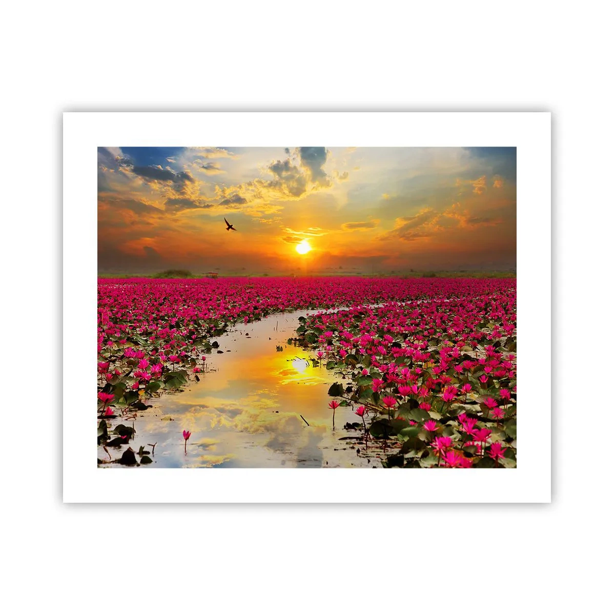 Affisch - Sjöns hemlighetsfulla liv - 50x40 cm